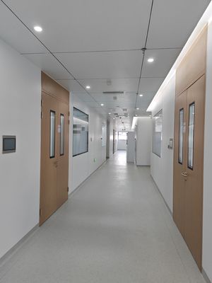 comprar Porta balançante de quarto limpo duplo de aço de grão de madeira Portas metálicas de hospital com visão de vidro online manufacture
